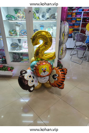 مجسمه بادکنکی BSC5